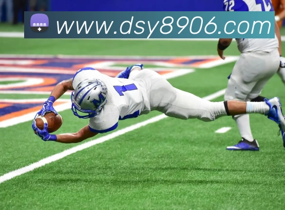 大三元官网平台登录平台生态图